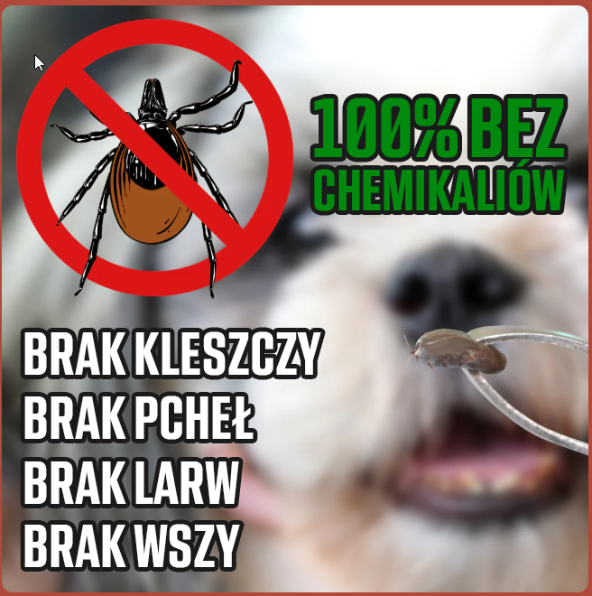 Naturalna obroża chroniąca przed kleszczami, pchłami i innymi pasożytami