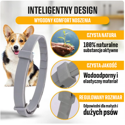 Naturalna obroża chroniąca przed kleszczami, pchłami i innymi pasożytami