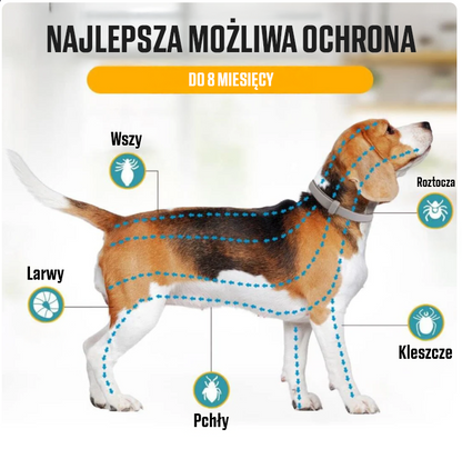 Naturalna obroża chroniąca przed kleszczami, pchłami i innymi pasożytami