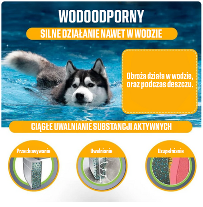 Naturalna obroża chroniąca przed kleszczami, pchłami i innymi pasożytami