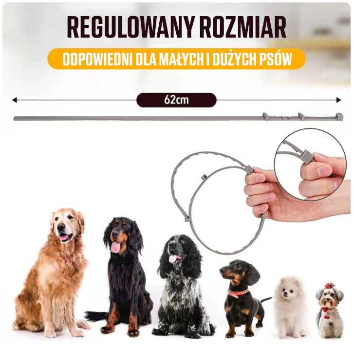 Naturalna obroża chroniąca przed kleszczami, pchłami i innymi pasożytami